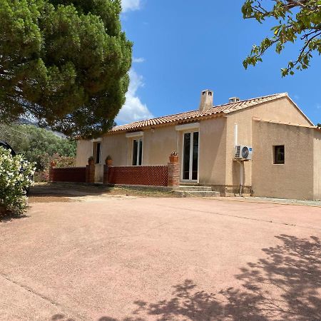 Casa Minnana Figari  Exteriér fotografie